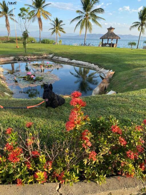 Acapulco Diamante Hermoso Departamento Ngoại thất bức ảnh